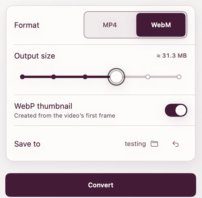 ExportForWeb video settings showing MP4 and WebM formats, output size, and the optional WebP thumbnail